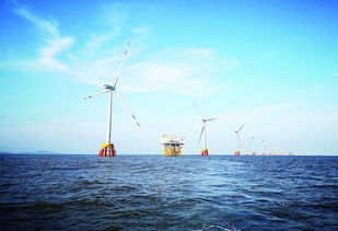 浙江海上風電項目累計發電突破1億度，陸路國際貨運代理業務助力清潔能源發展