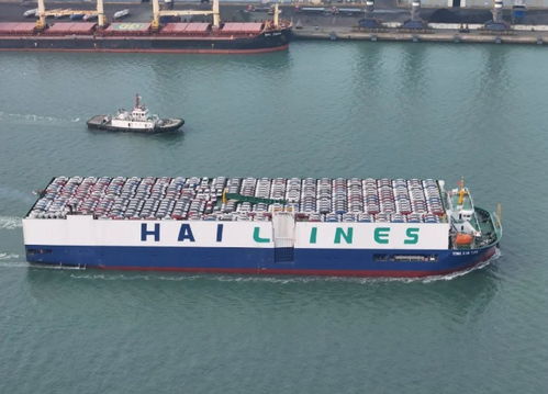 山東陸路國際貨運(yùn)代理業(yè)務(wù)發(fā)展趨勢與挑戰(zhàn)