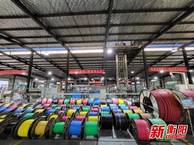 衡陽輸變電產(chǎn)業(yè)強勢崛起 產(chǎn)業(yè)規(guī)模國內(nèi)前列，產(chǎn)品創(chuàng)多項世界第一